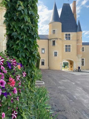 Villa Capucine Aubigny-sur-Nère Exteriör bild